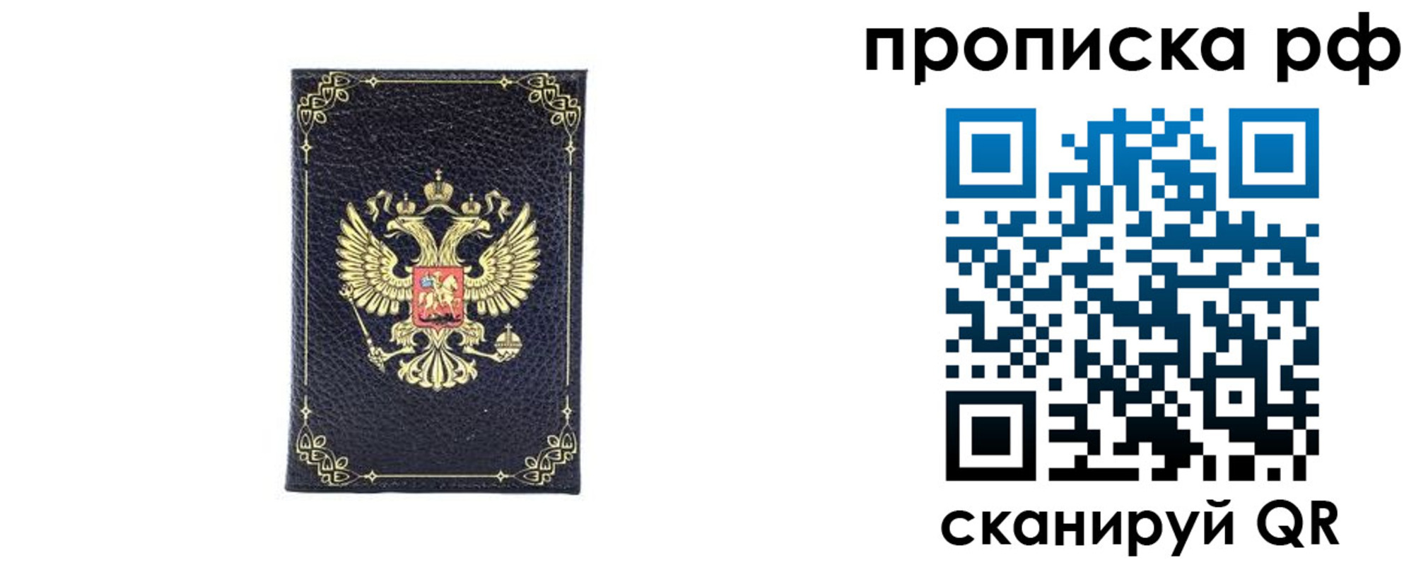 прописка для школы в Твери